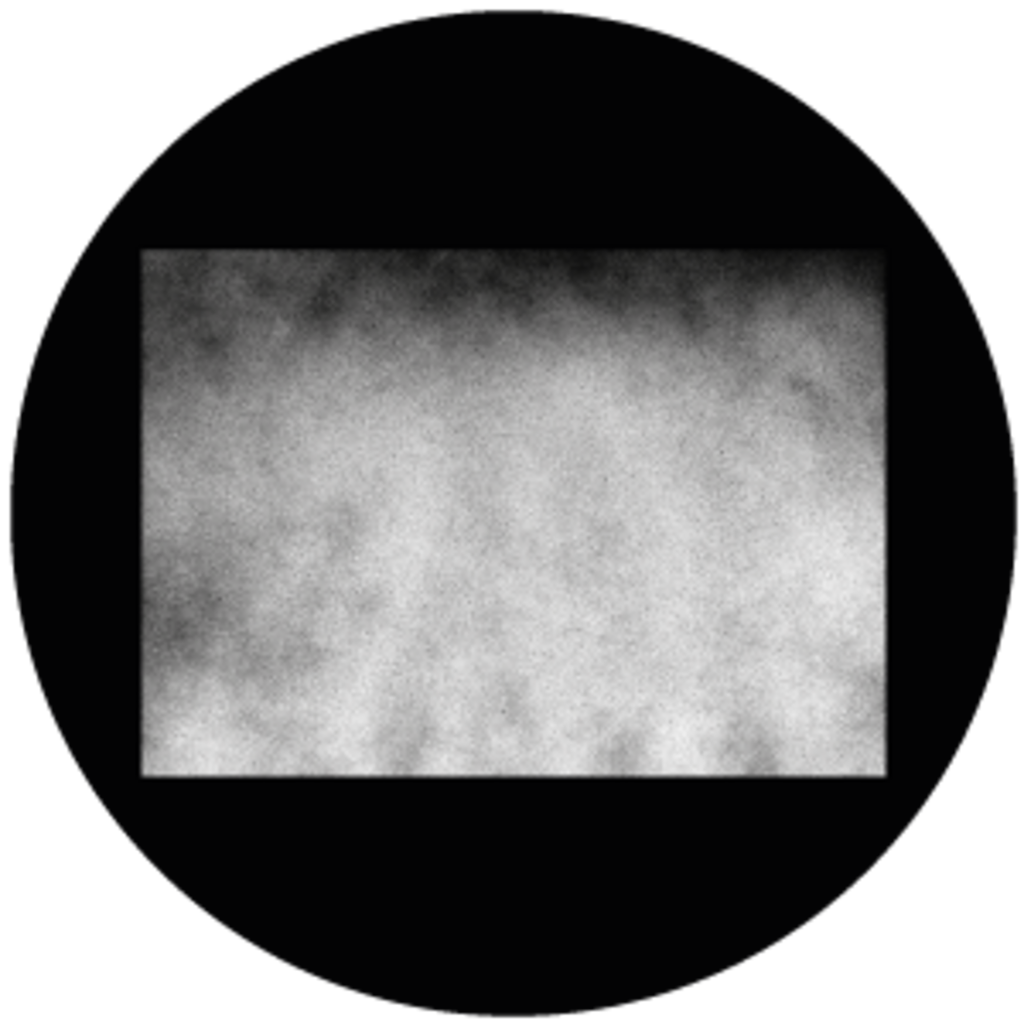 Gbbhft024