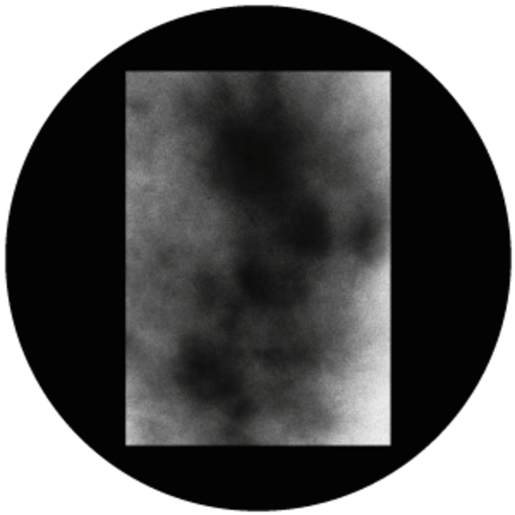 Gbbhft025