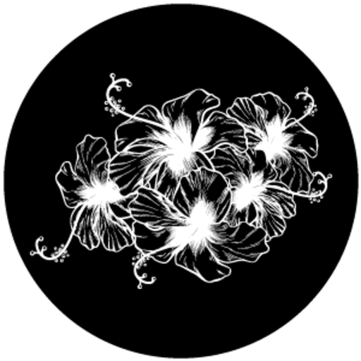 Flowers 4