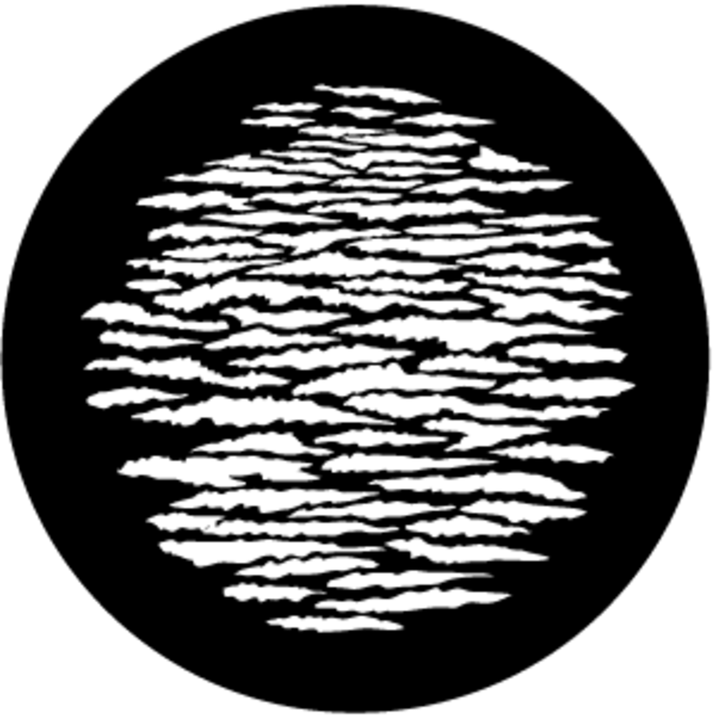 Branches 2