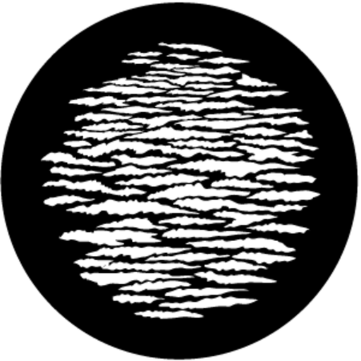 Branches 2