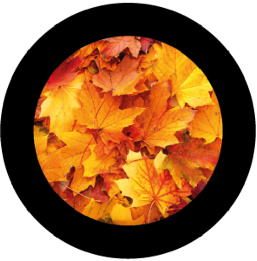 Autumn Foliage