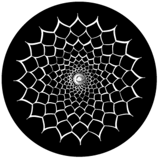 3D Net